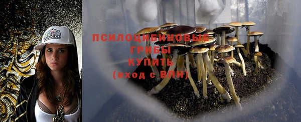 а пвп мука Навашино