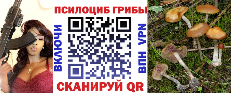 купить наркотик  Шиханы  Псилоцибиновые грибы мицелий 